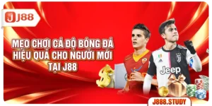 meo-choi-ca-do-bong-da-hieu-qua-cho-nguoi-moi-tai-j88